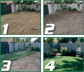Four Steps to Creating a Legend Lawn
